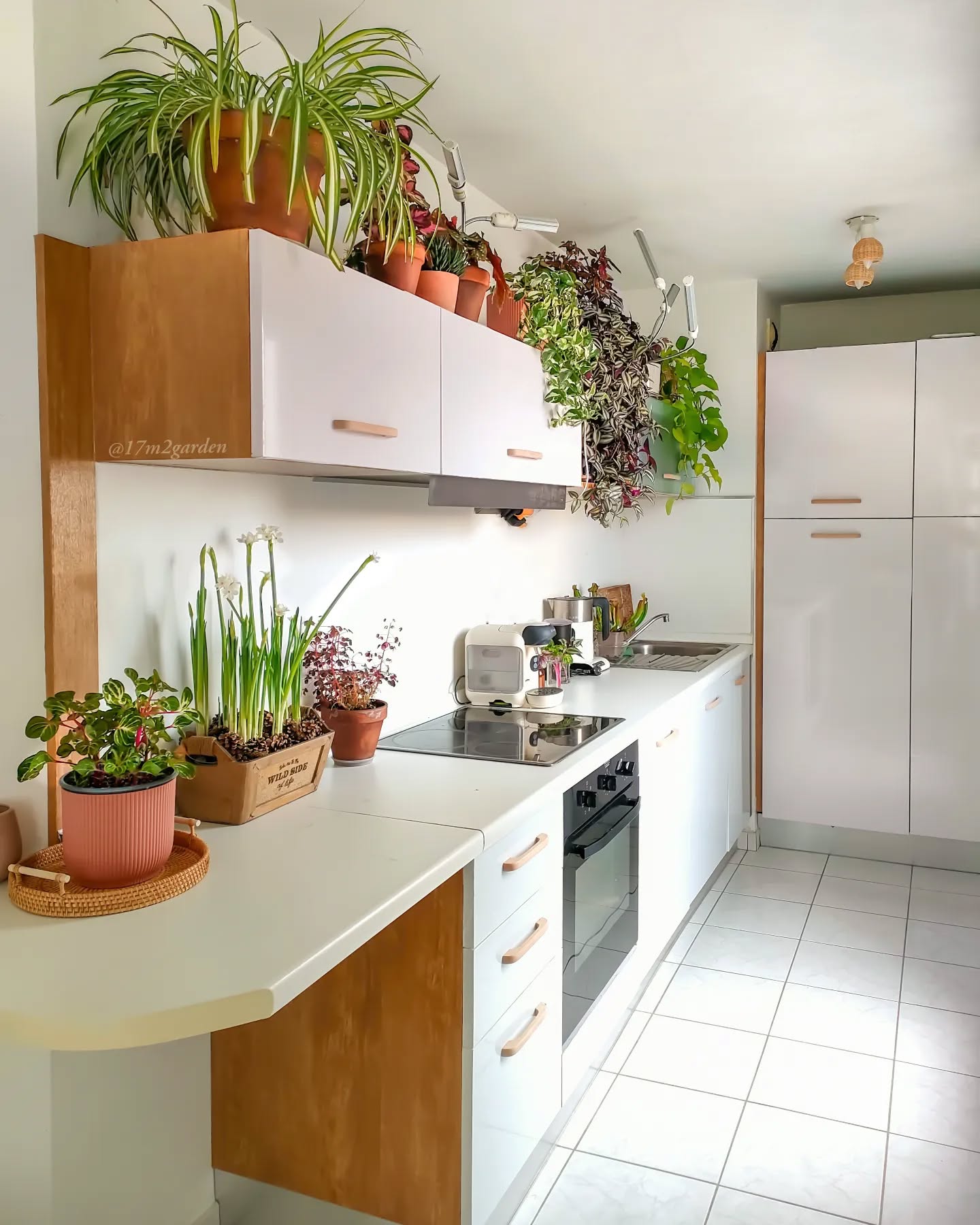 19. a Cascade Of Teacups and Vintage Plates Above a Tuscan Kitchen