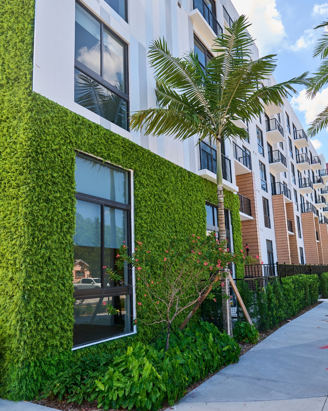 11. a Flamboyant Fusion Of Palms and Hibiscus Against a Teal Wall