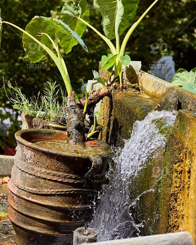 20. a Symphony Of Moss and Stone: the Miniature Waterfall Nook