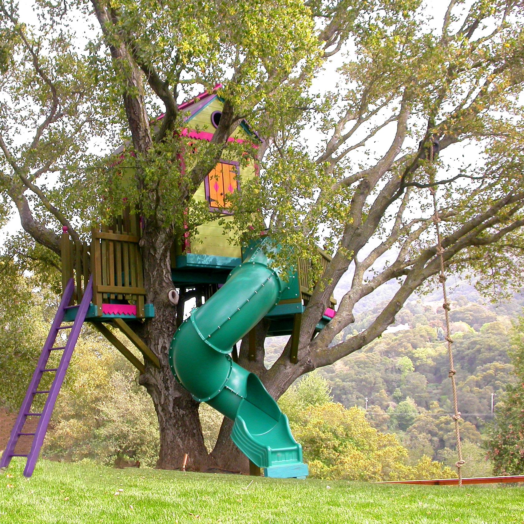 27. a Whimsical Willow Tree Tire Swing Surrounded by Daisy Chains