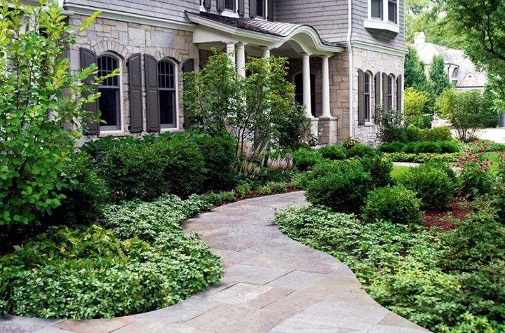 14. Moonlit Serenity: a Lush Haven with Variegated Foliage and Stone Pathway