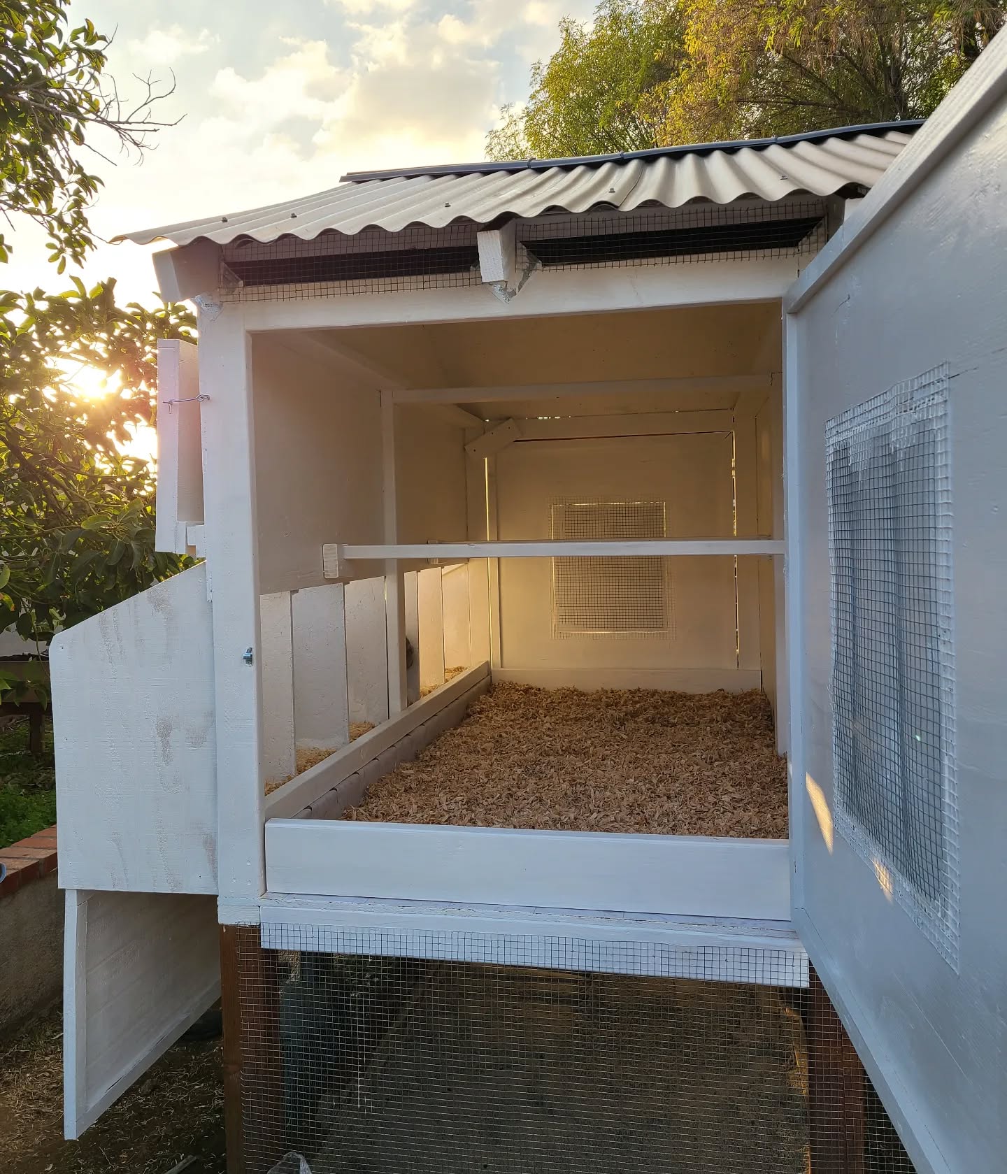 13. the Sunlit Perch with Geometric Precision: a Triangle Window and Recessed Nesting Box