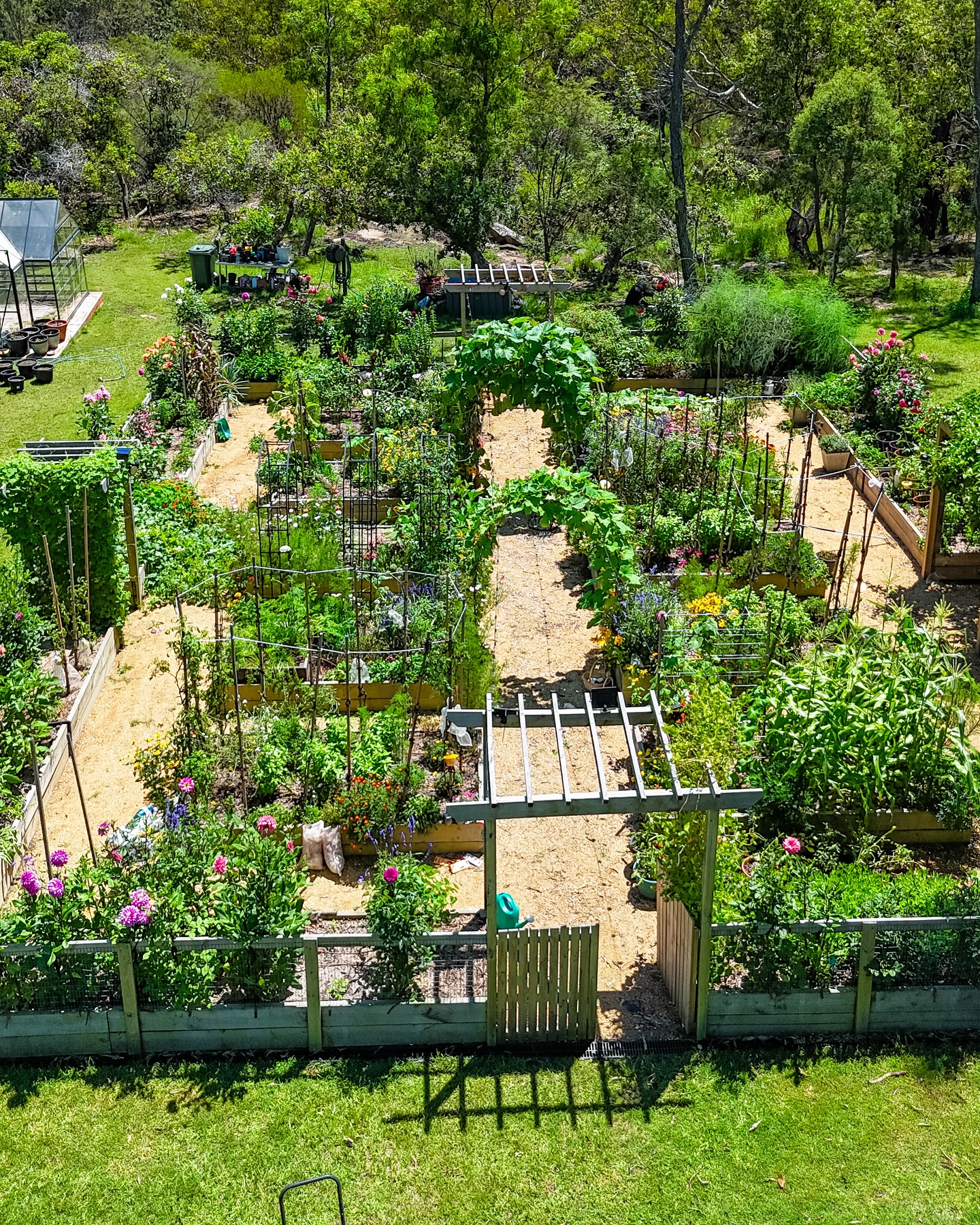 7. Rows Of Radiant Radishes and Lush Lettuce Under a Rustic Archway