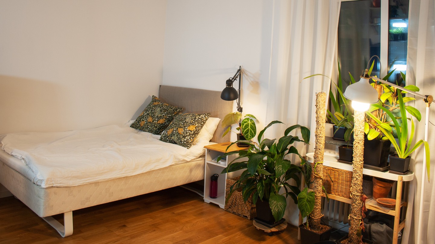 34. Moonlit Canopy Over Starry Dreams: a Bedside Escape