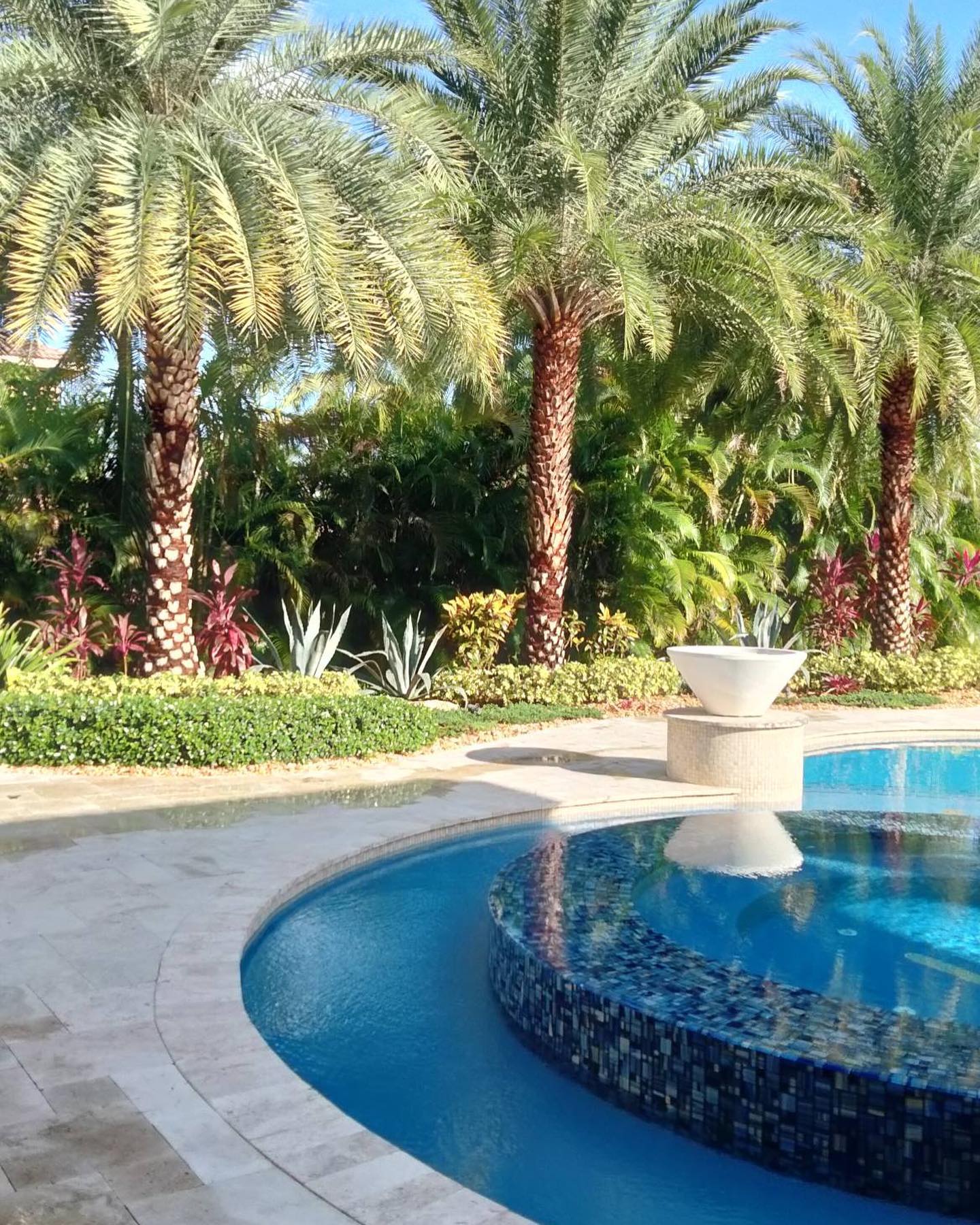 18. Tropical Serenity: Palm Shadows and Coral Pathways In Your Backyard Oasis