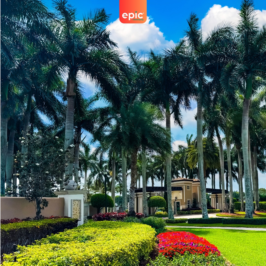 7. Tropical Serenity: Palm Trees and Bougainvillea Dance Around a Tranquil Pool