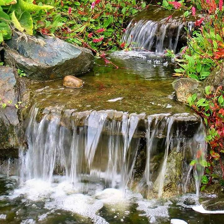 9. a Moss-covered Boulder Cascade with Delicate Ferns