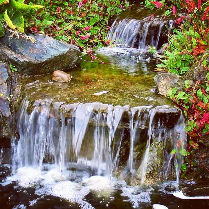 6. a Cobblestone Path Embraced by Ferns Leading to a Miniature Stone Waterfall