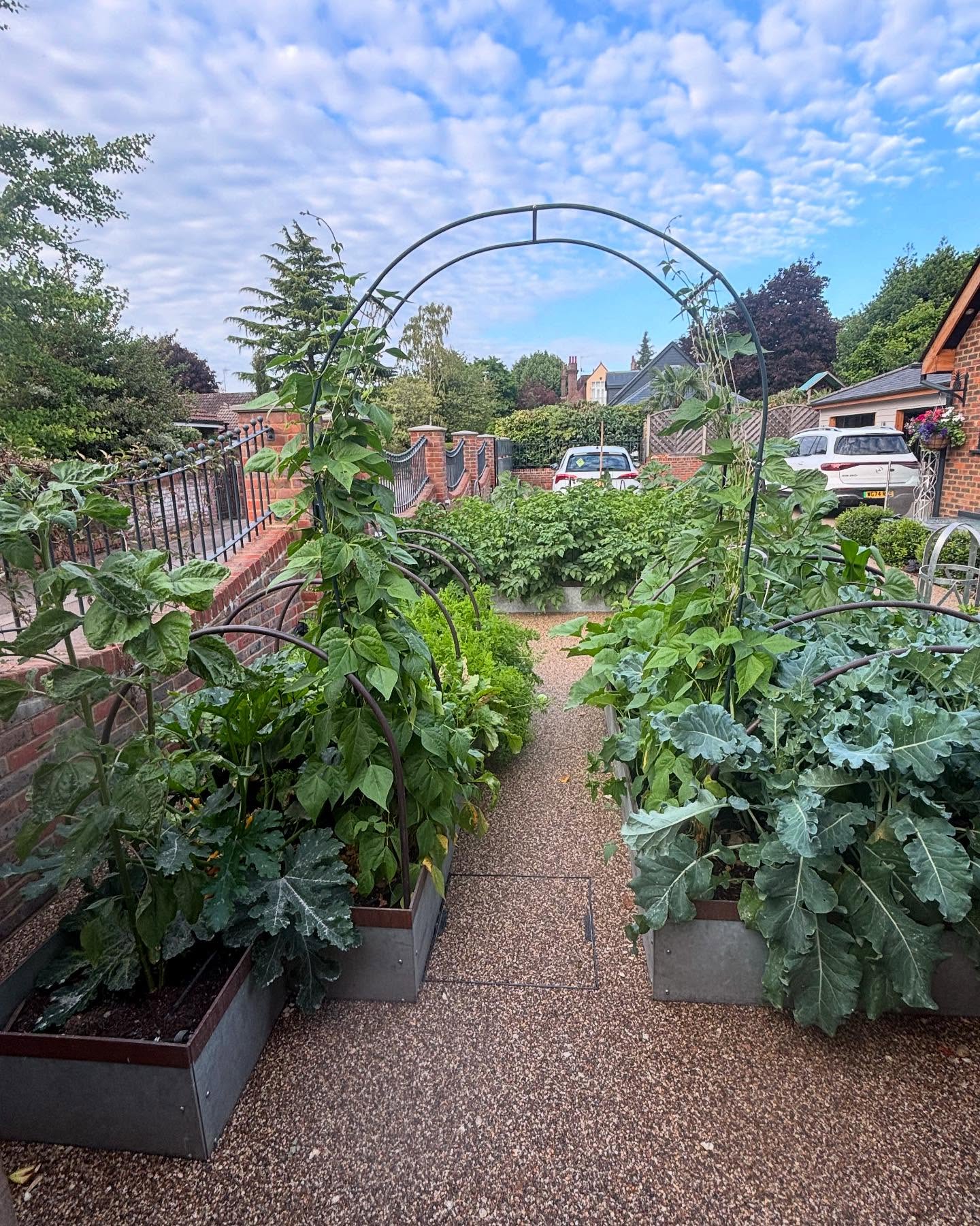 5. Rows Of Radishes and Ribbons Of Lettuce: a Garden's Green Tapestry