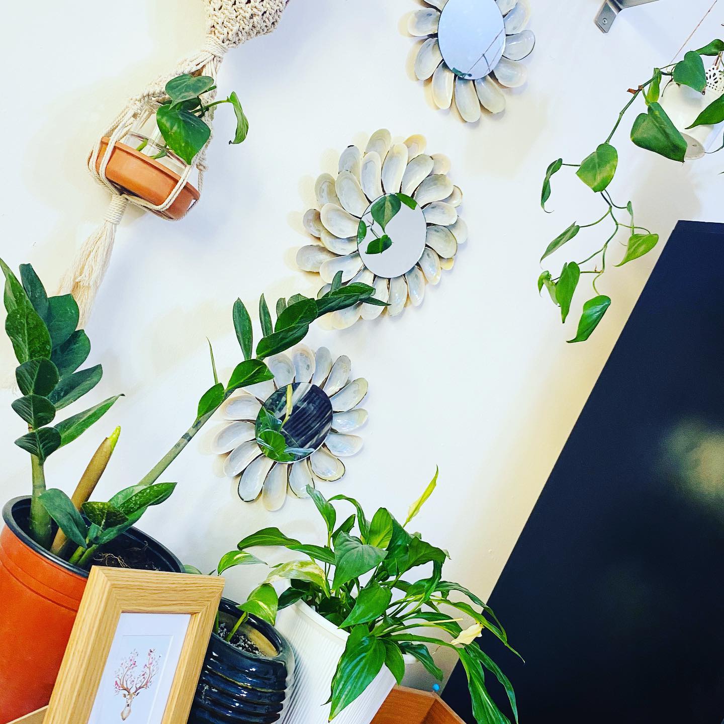 24. a Symphony Of Reflection: Hexagonal Mirrors with Gold Filigree Edges