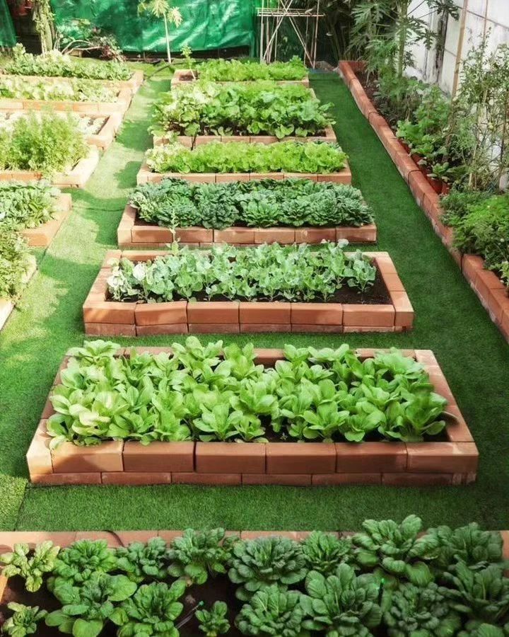 24. Verdant Rows Of Kale and Carrots In a Terracotta Pot Ensemble