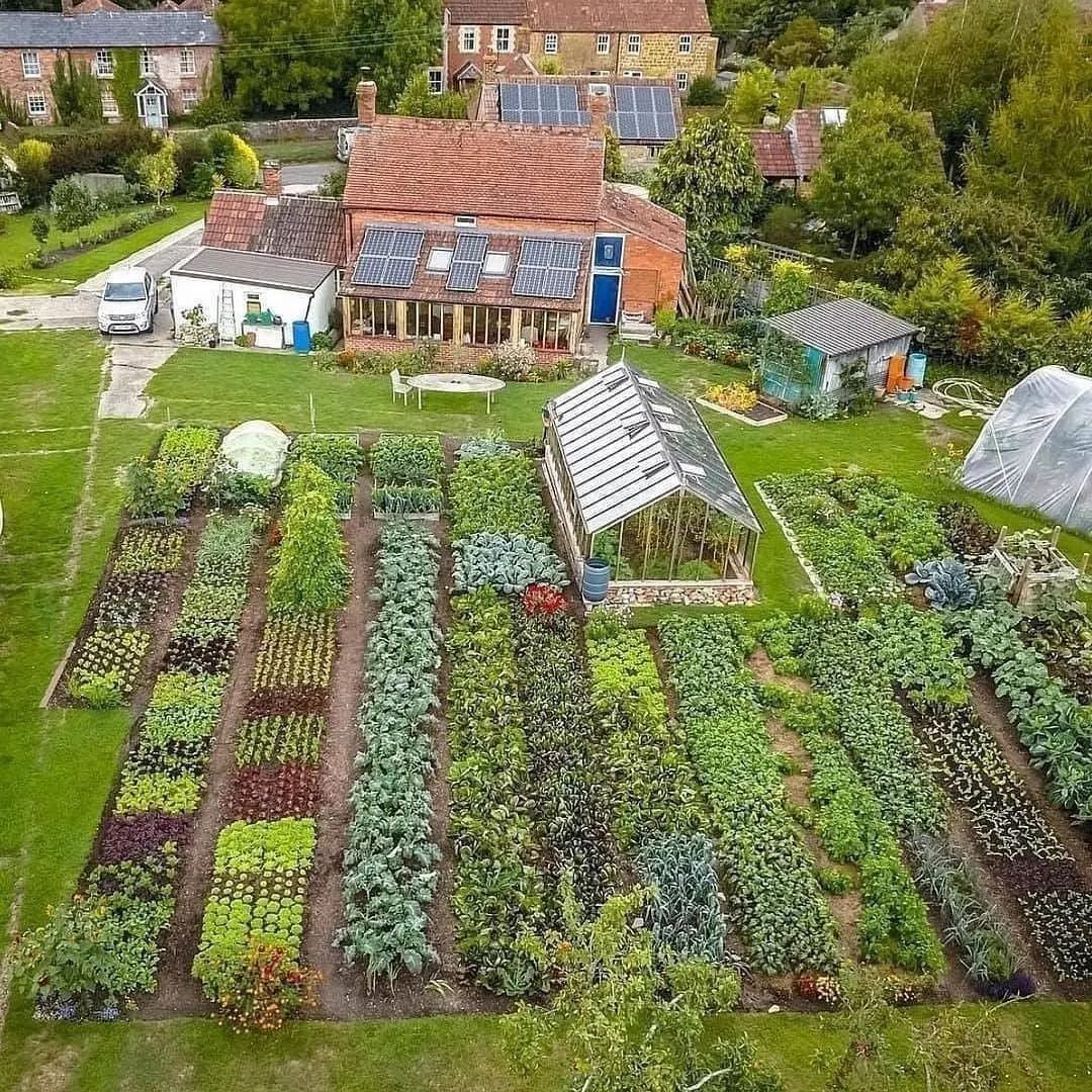 22. Verdant Patchwork Of Cabbages and Carrots with a Winding Stone Path