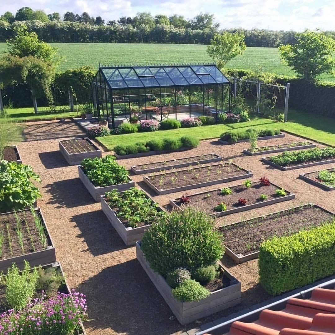 8. Lush Green Zucchini Patch with Vibrant Marigold Border and Rustic Wheelbarrow Accent