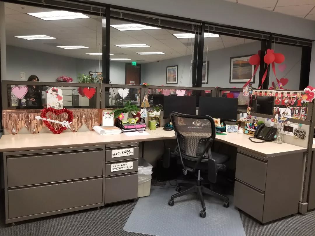 28. Vibrant Cacti and Geometric Frames on a Floating Shelf
