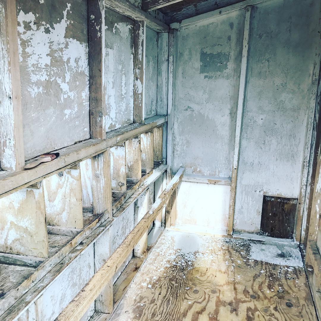 19. a Sunlit Haven with a Regal Red Throne and a Mosaic Of Feathers