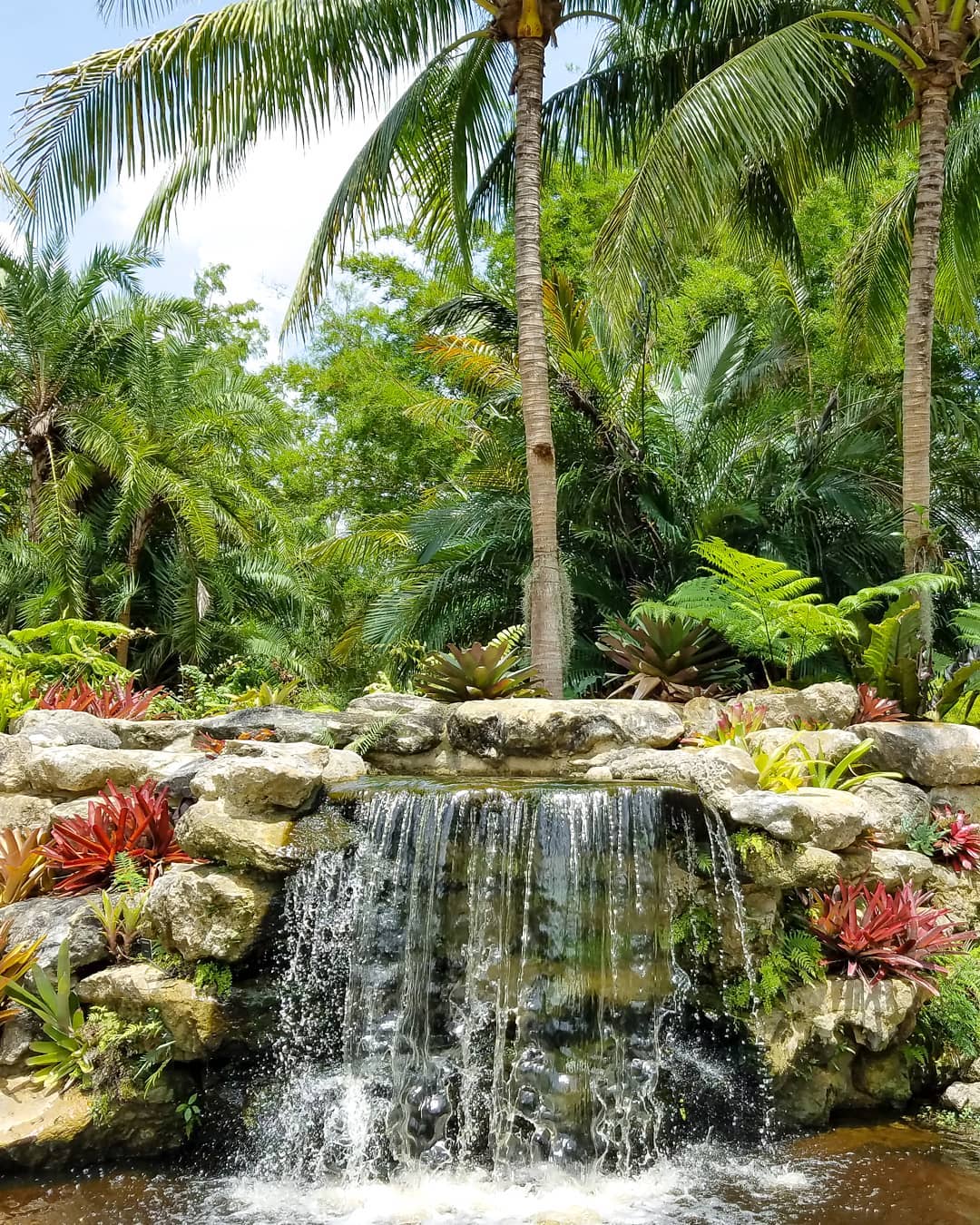 5. the Mossy Stone Cascade with Fern Embrace and Sun-dappled Rocks
