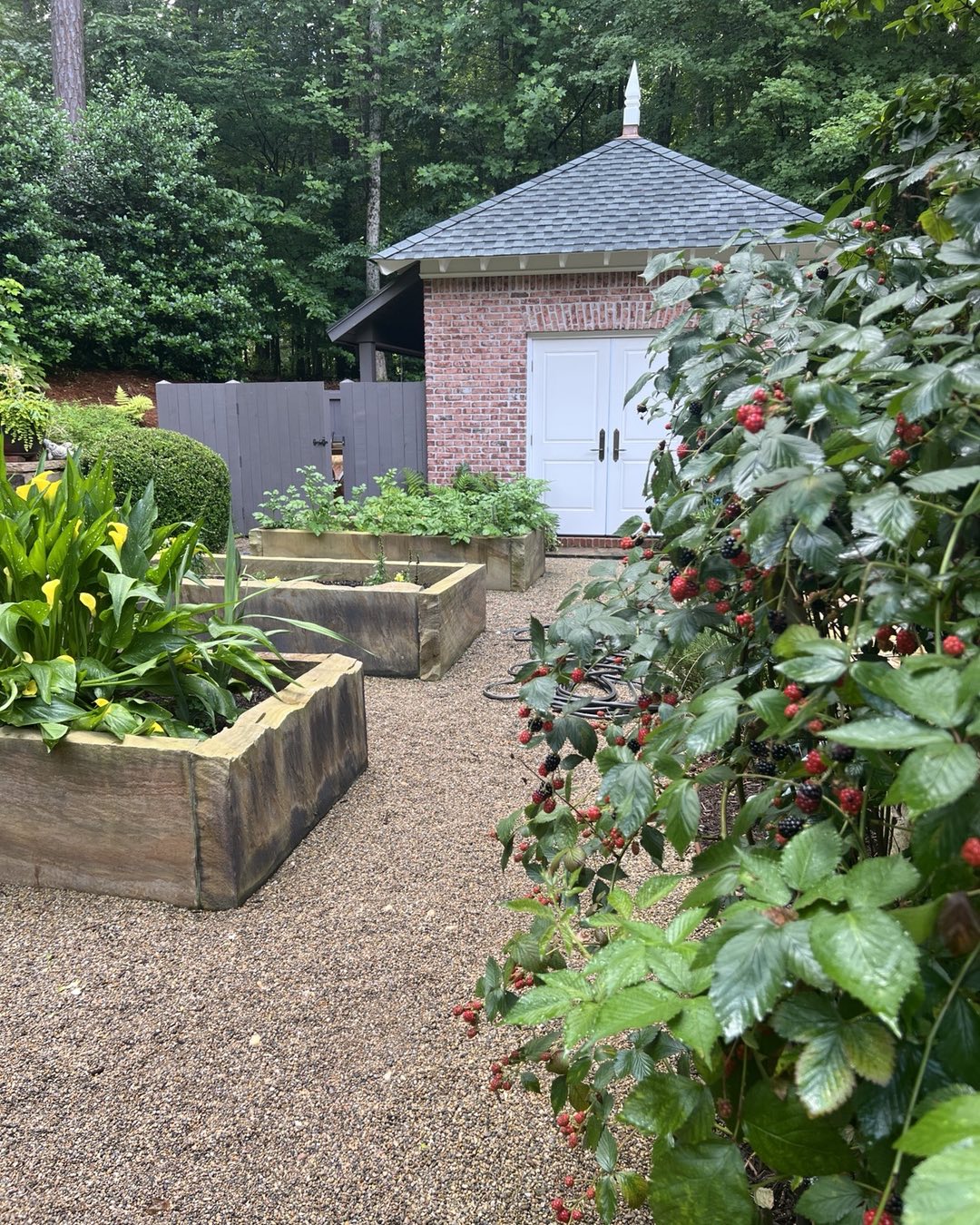 25. Lush Lavender Rows with Rustic Wheelbarrow and Stone Path Accents