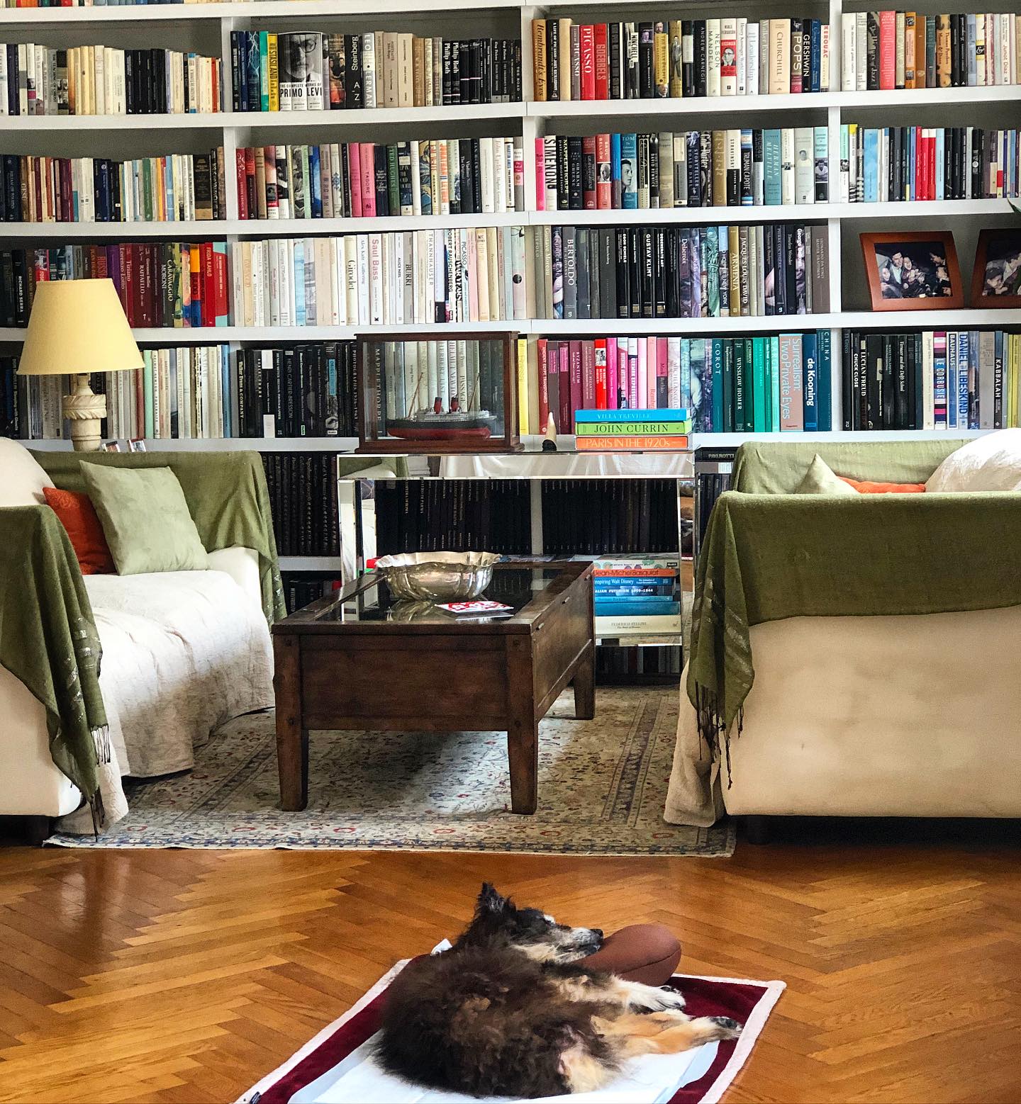 12. a Ladder Of Literature Ascending Amidst Eclectic Elegance