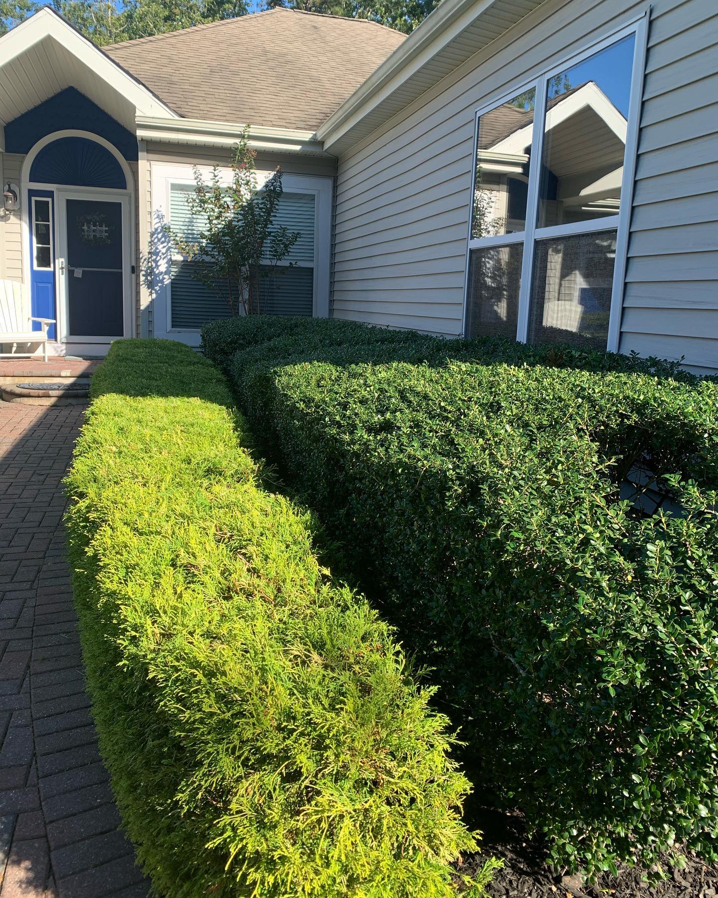 19. a Symphony Of Spheres: Circular Bushes Frame a Cobblestone Pathway