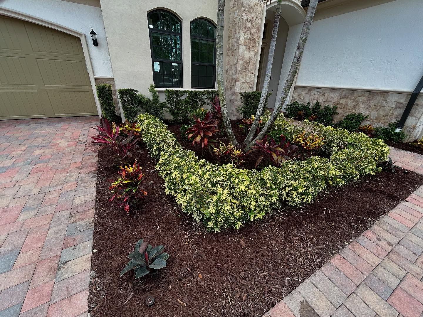 15. Tropical Oasis with a Palm-framed Pathway and Vibrant Hibiscus Accents