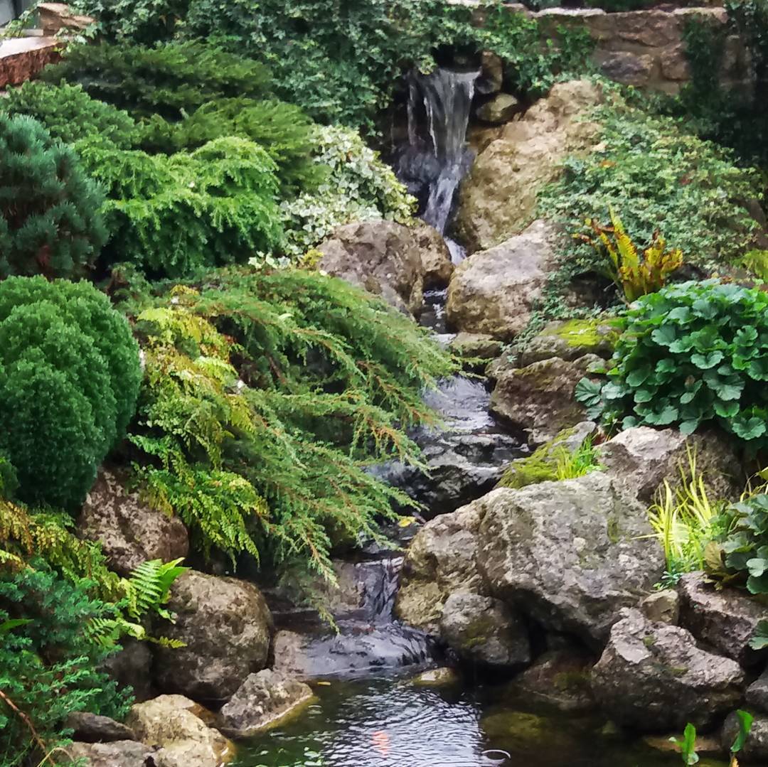 19. Cascading Pebbles and Ferns: a Miniature Oasis In a Teacup