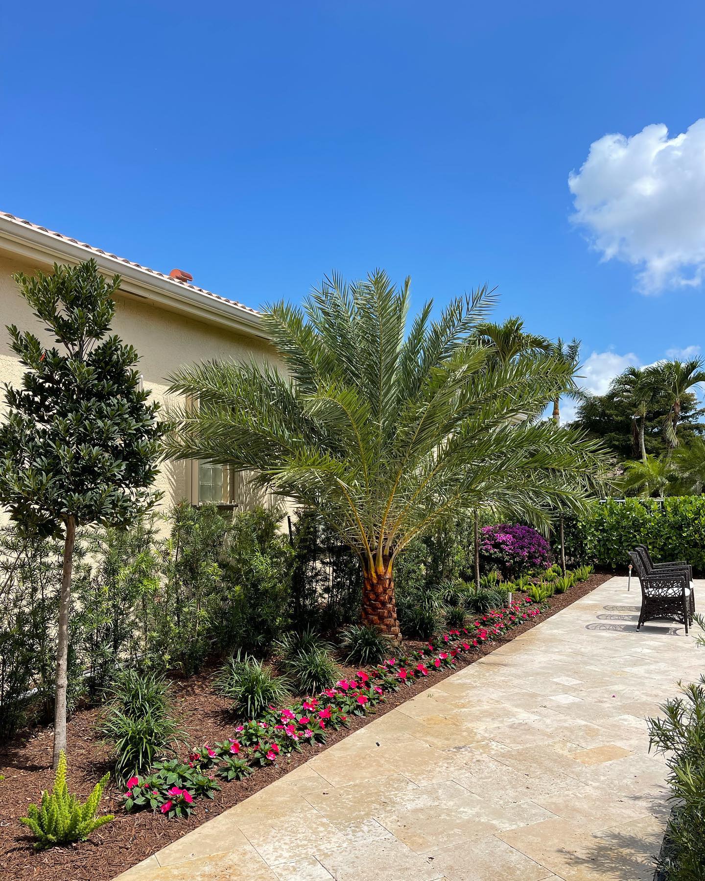 1. Lush Palms and Vibrant Bougainvillea Cascade Over a Rustic Wooden Fence