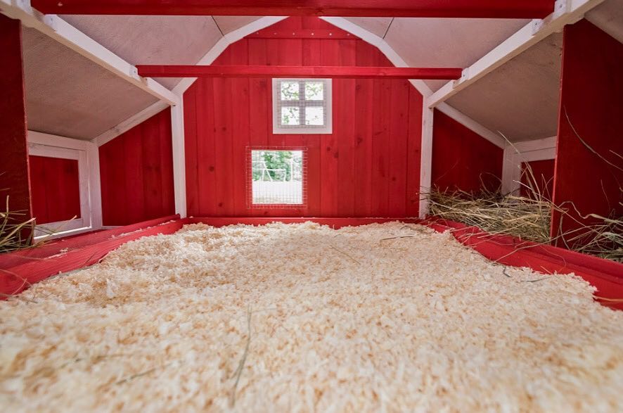 4. a Sunlit Hayloft with a Peekaboo Chicken Door In a Rustic Coop