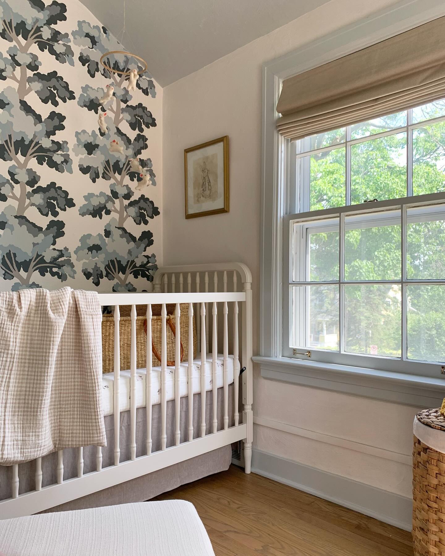 15. the Cactus Cluster Corner with Rainbow Accents and Polka Dotted Elephant