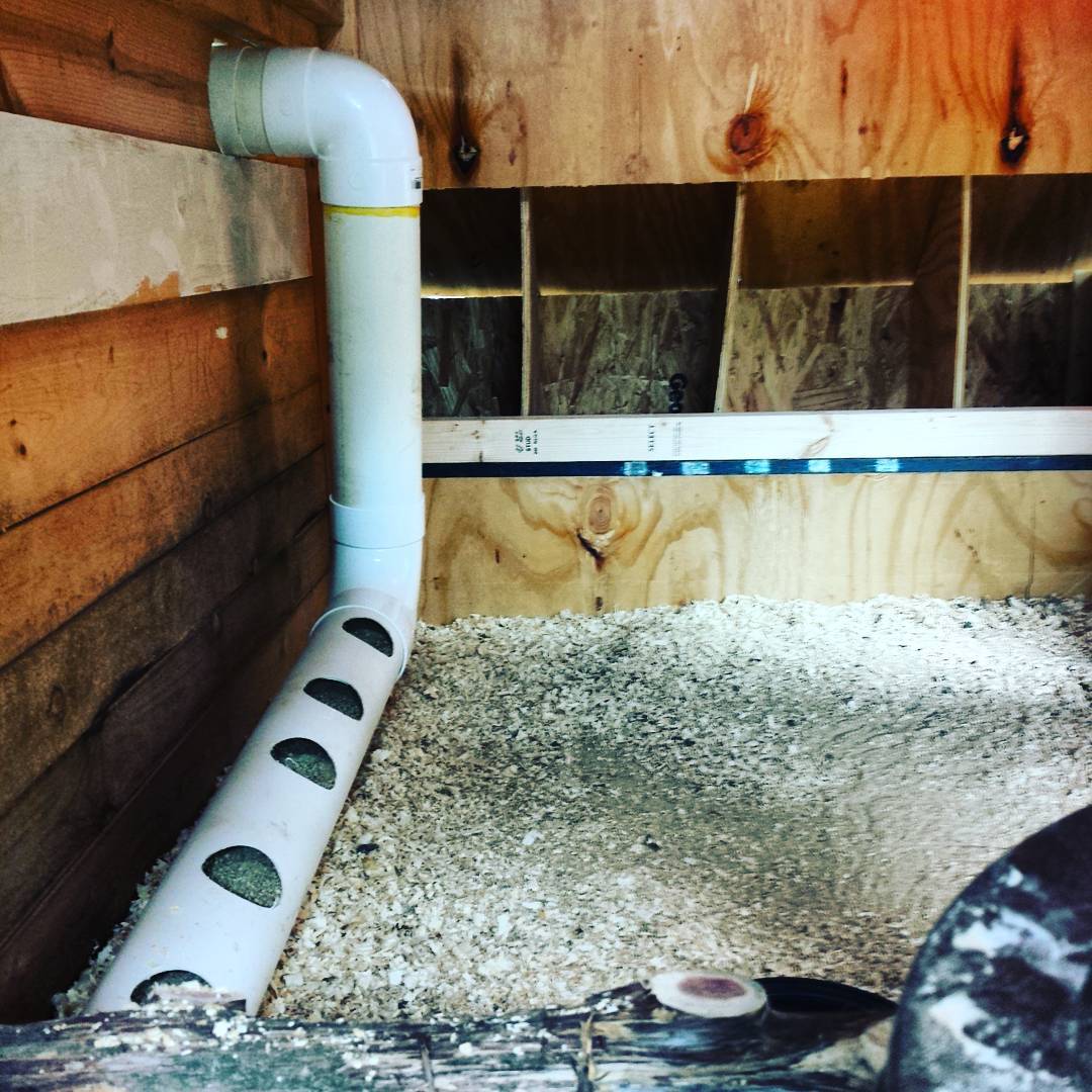 5. a Rustic Red Perch Overlooking Hay-strewn Nesting Boxes