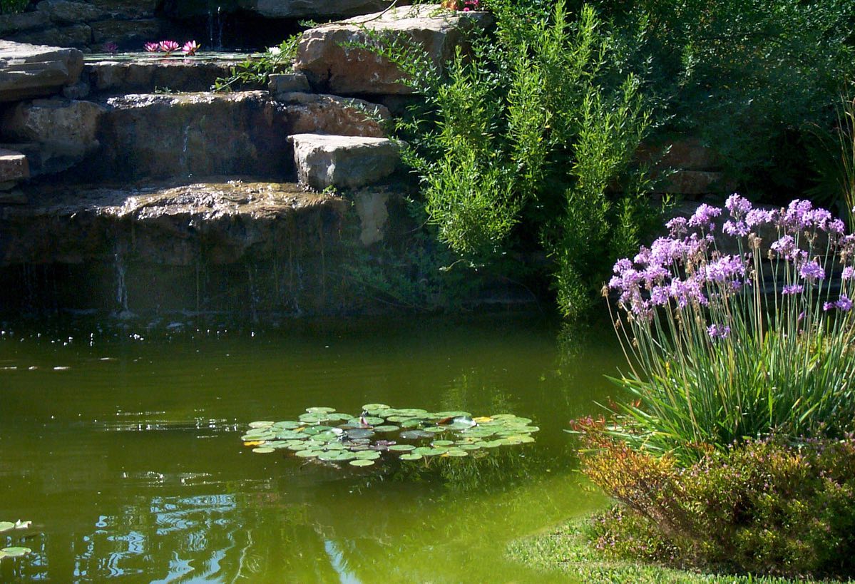 18. a Moss-covered Boulder with a Trickle Of Water Into a Sunlit Pond