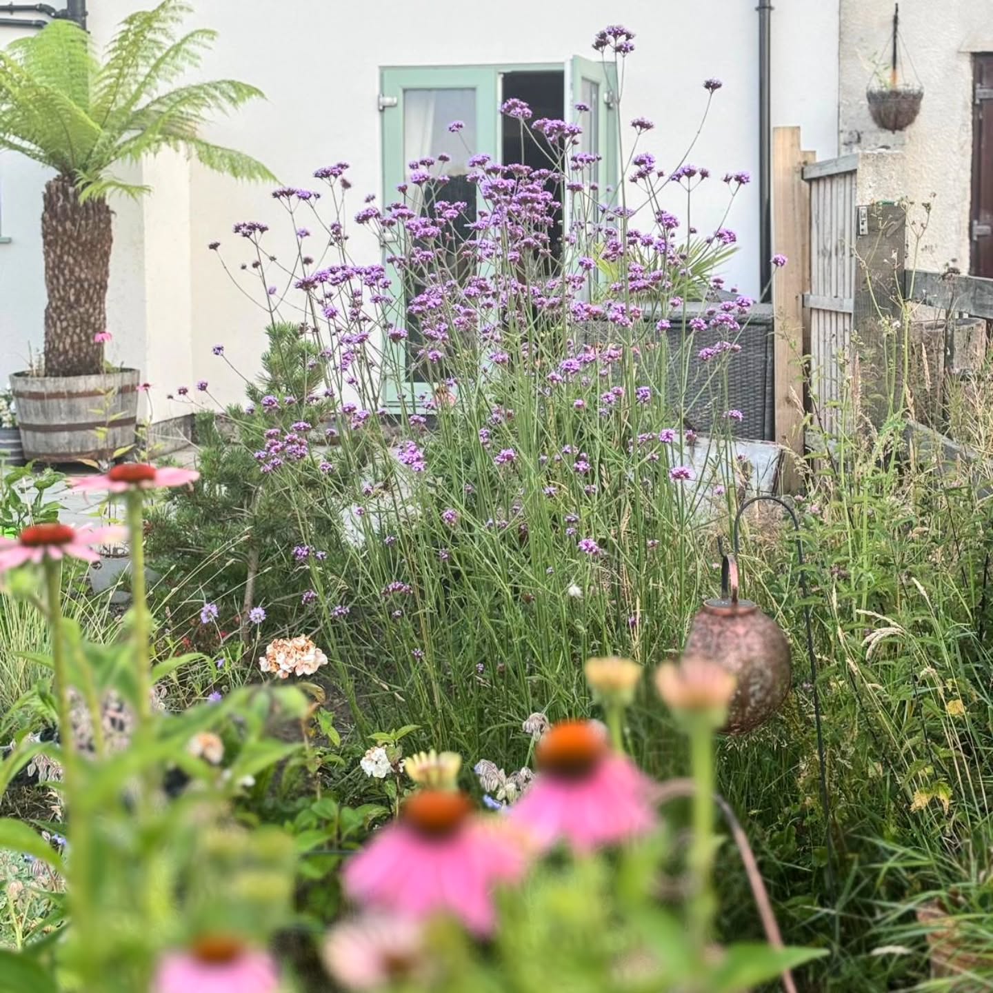 20. a Sunlit Stone Pathway with Lavender and Roses In a Cozy Nook