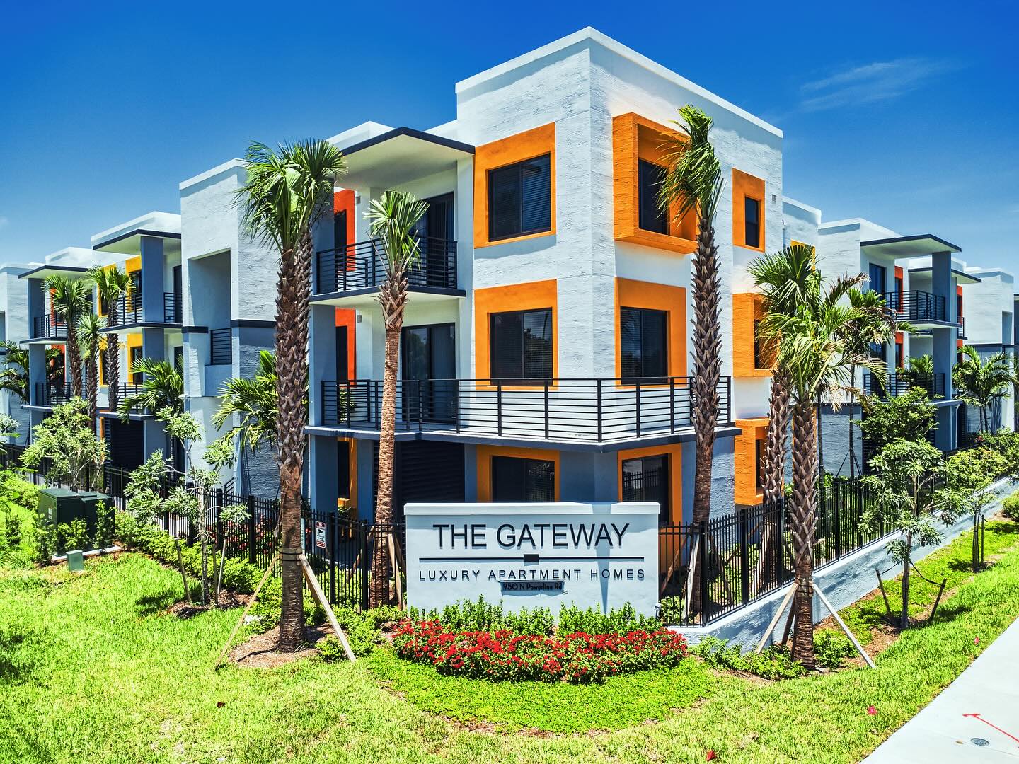 19. the Flamboyant Flamenco Of Palm Shadows and Coral Rock Edging