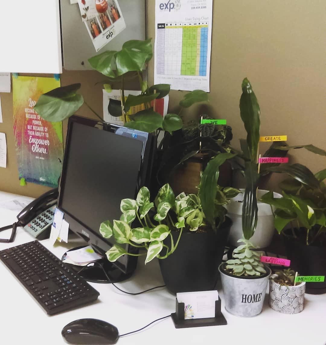 25. Vibrant Geometric Puzzle Of Potted Plants and Neon Accents