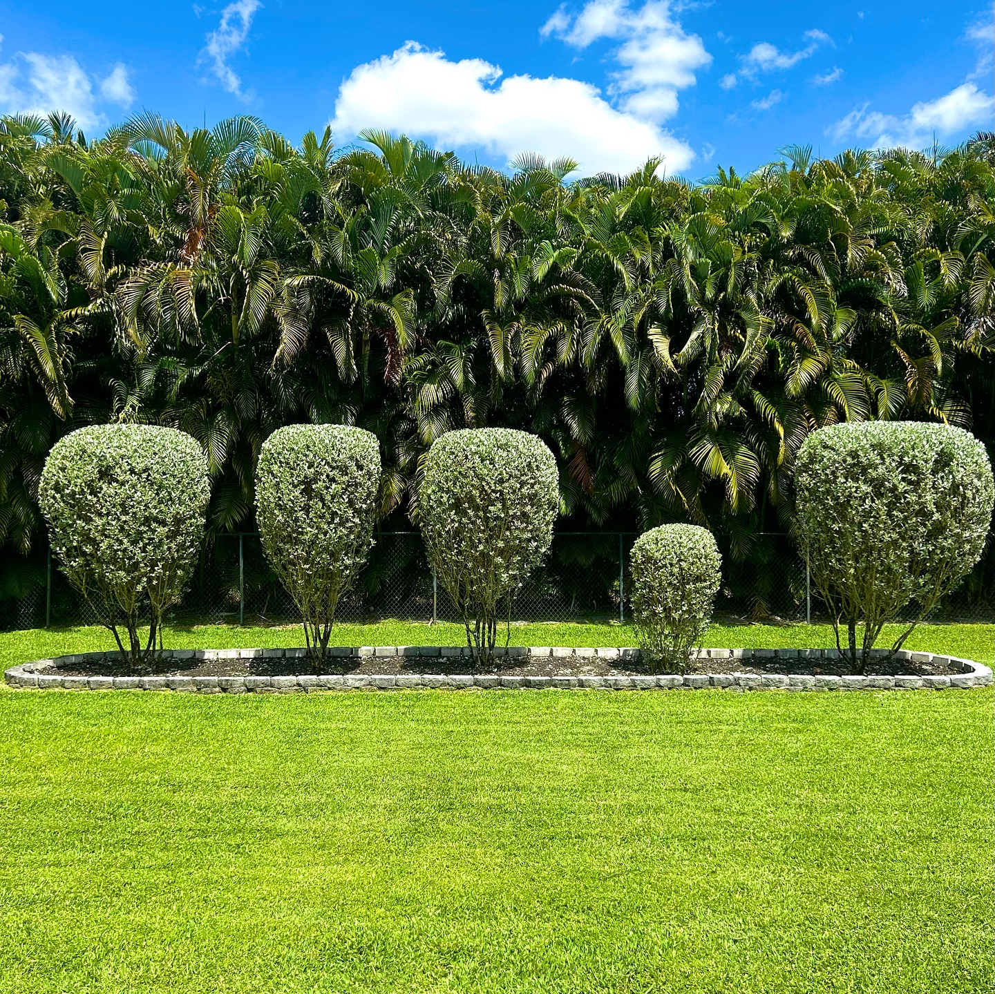 12. Tropical Oasis with Palm Shadows and Stone Pathways