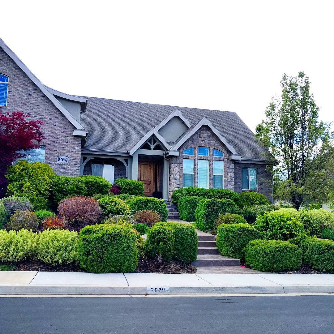 21. the Interwoven Crimson and Verdant Hedge Maze In Front Of a Cobblestone Cottage