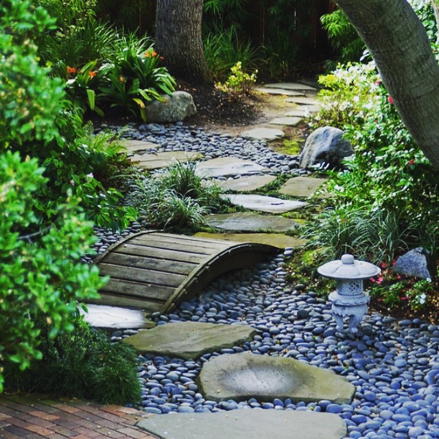 2. Winding Stone Path Embraced by Lush Ferns and Variegated Hostas
