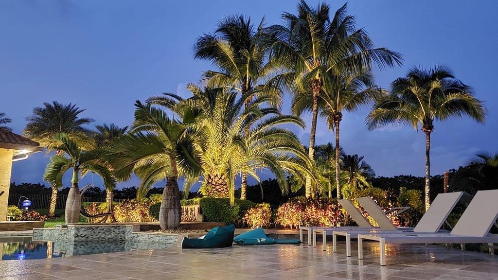 13. Tropical Oasis with Palm Shadows and Stone Pathways