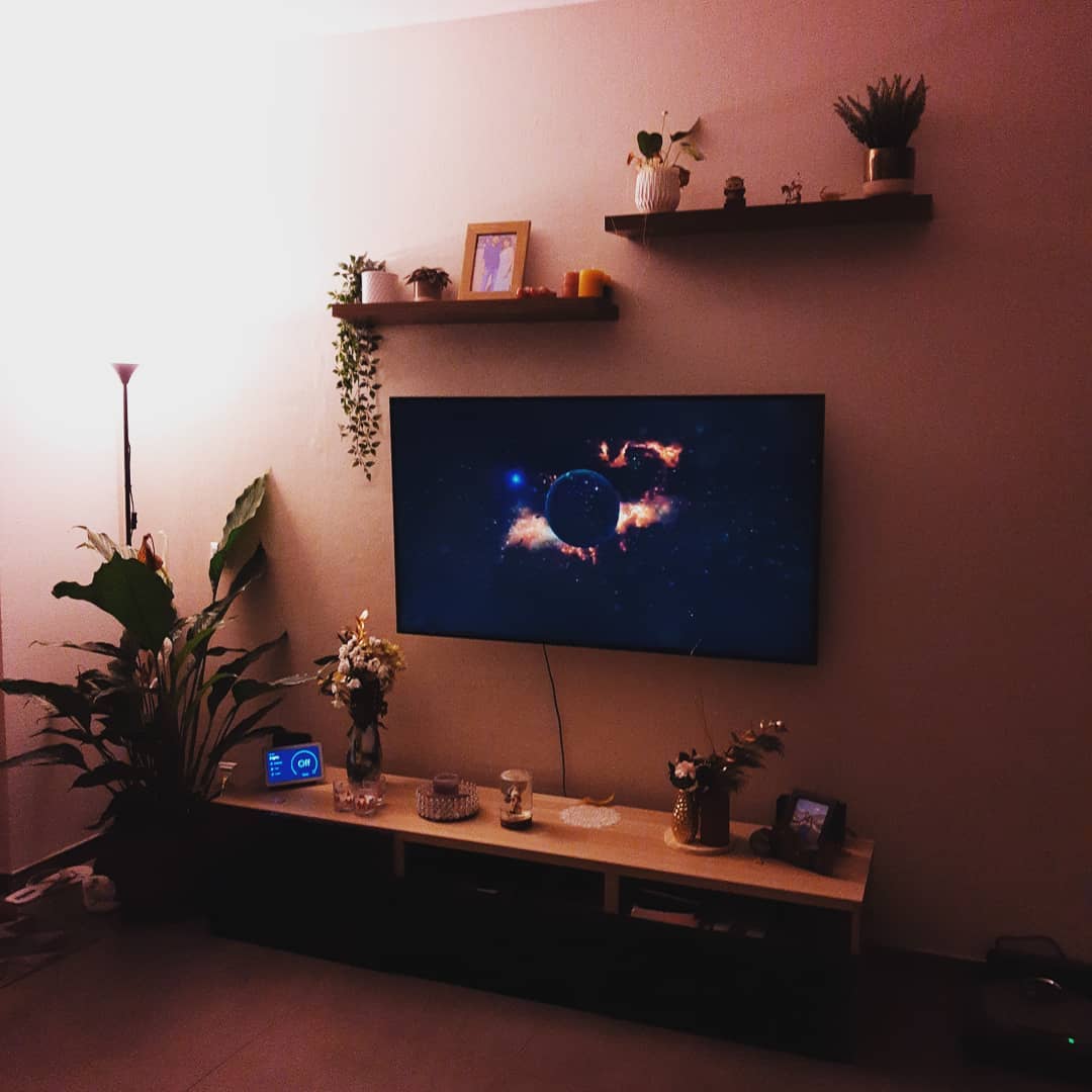 11. a Symphony Of Geometric Frames and Greenery Under the Tv