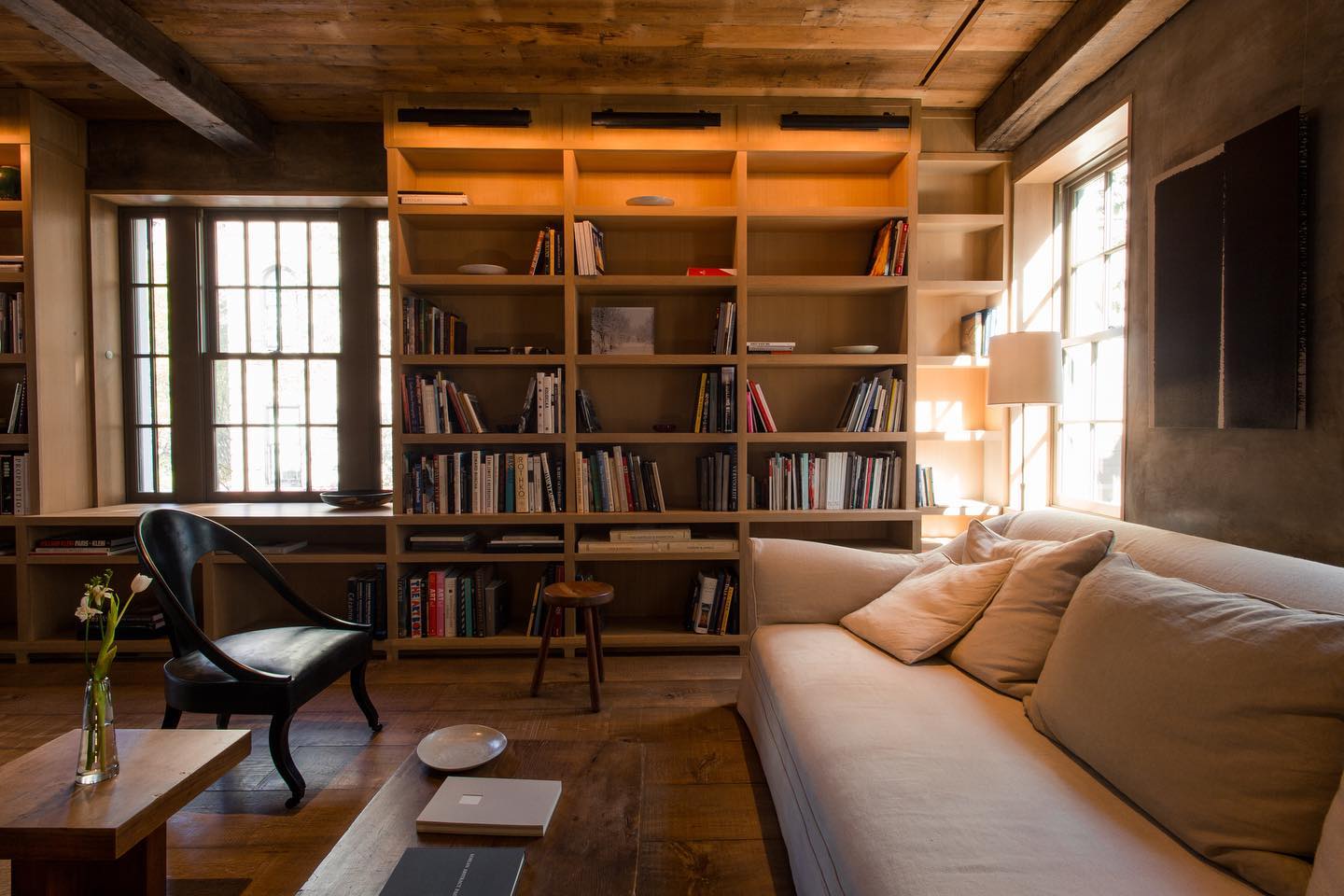 6. a Cascade Of Books Amidst Geometric Shelves and a Whispering Plant