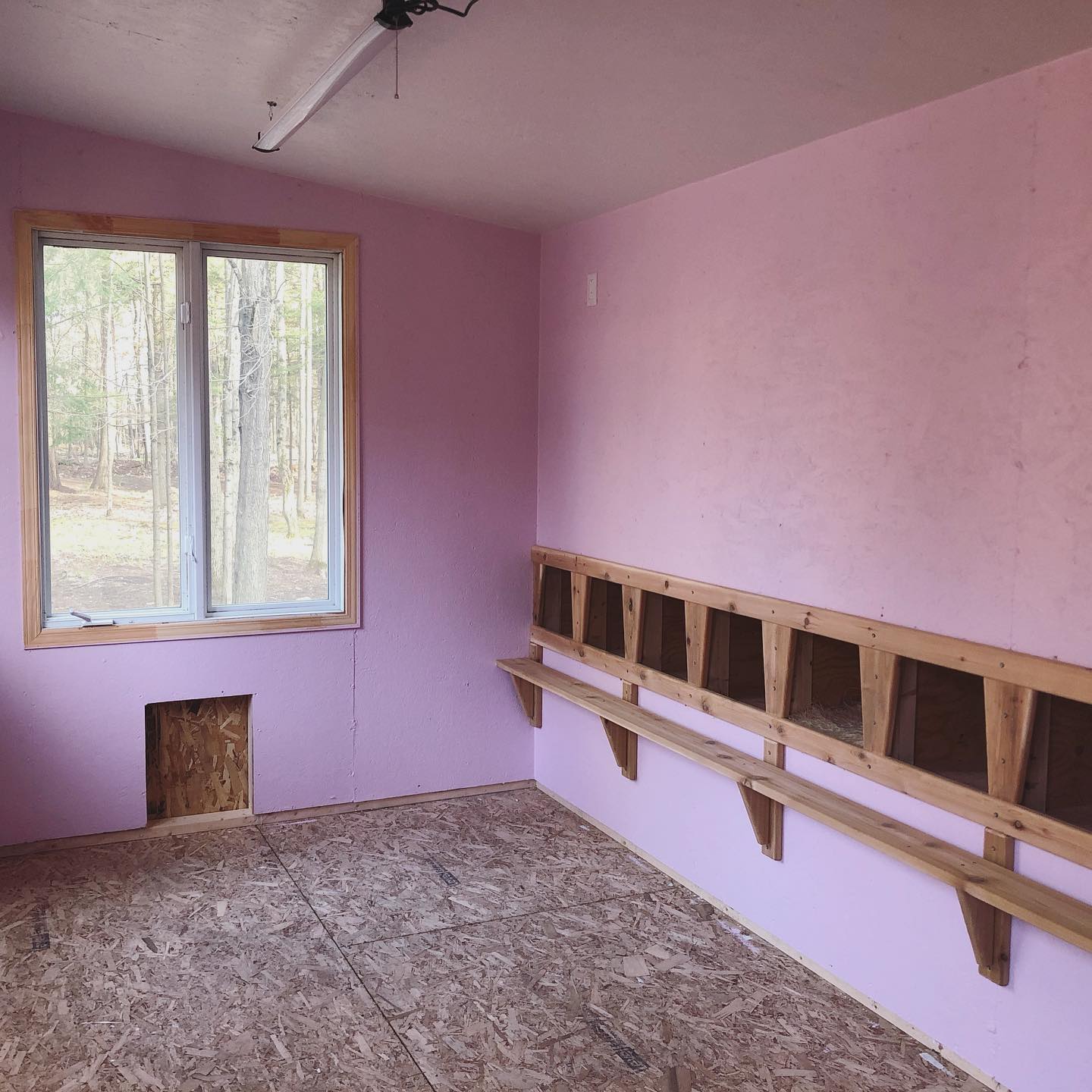 1. a Sunlit Hayloft with Rustic Charm and a Single Red Bucket