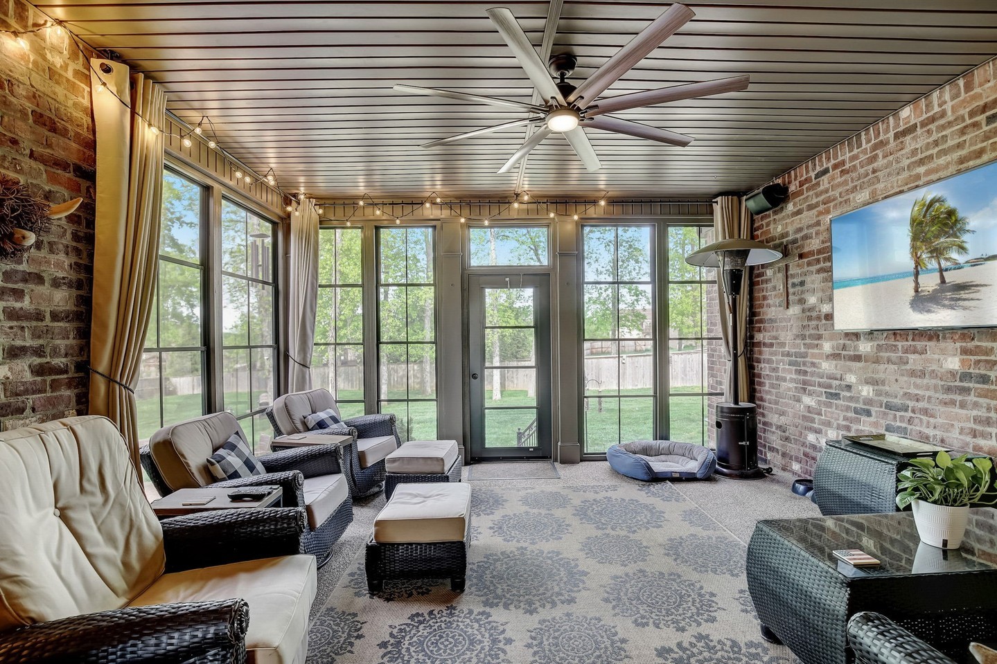 24. the Fusion Of Ferns and Foliage In a Sunlit Glass Haven