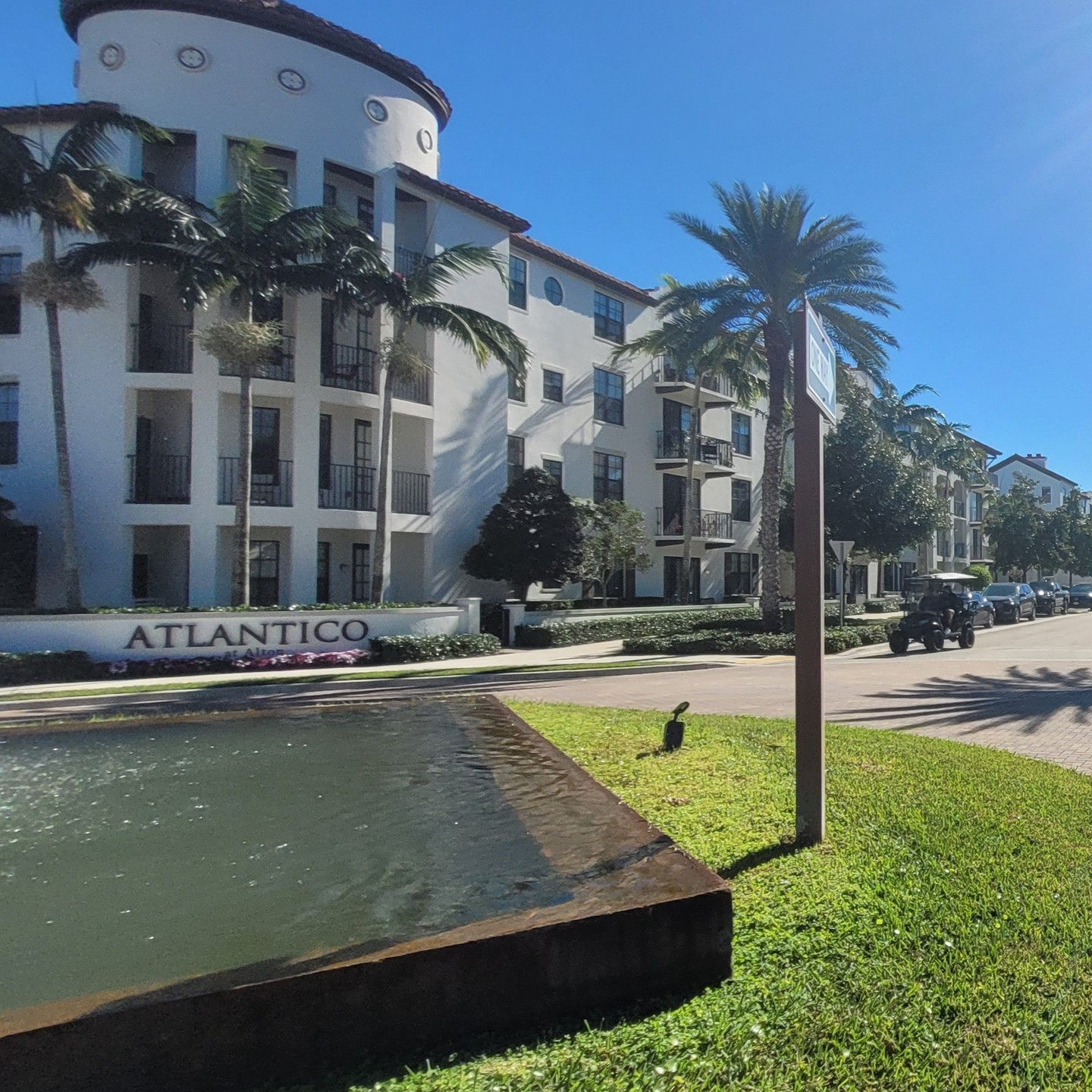 6. Tropical Oasis with Palm Shadows: a Garden Path Underneath Swaying Fronds