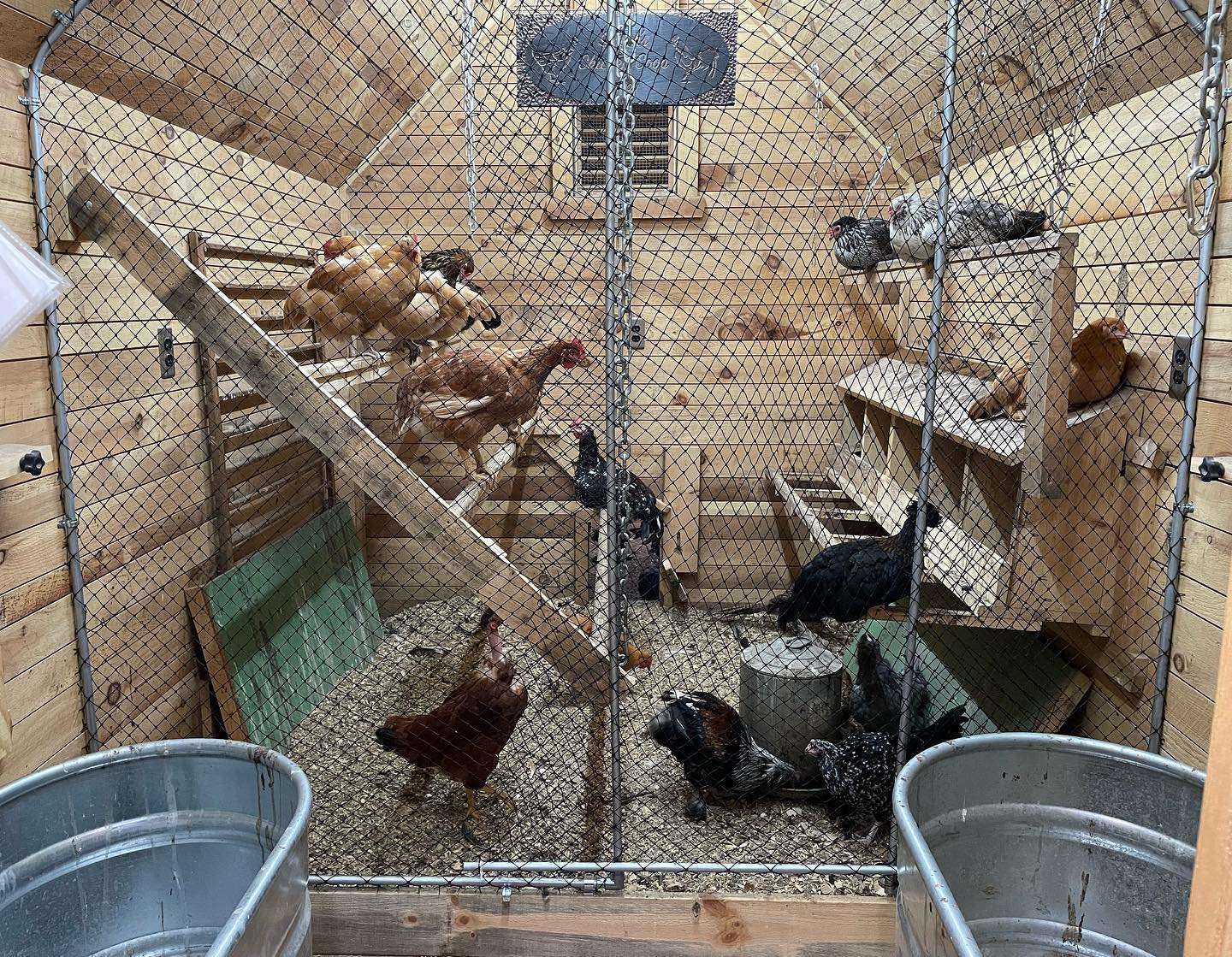 10. Sunlit Straw Bale Perch with Rustic Ladder Access