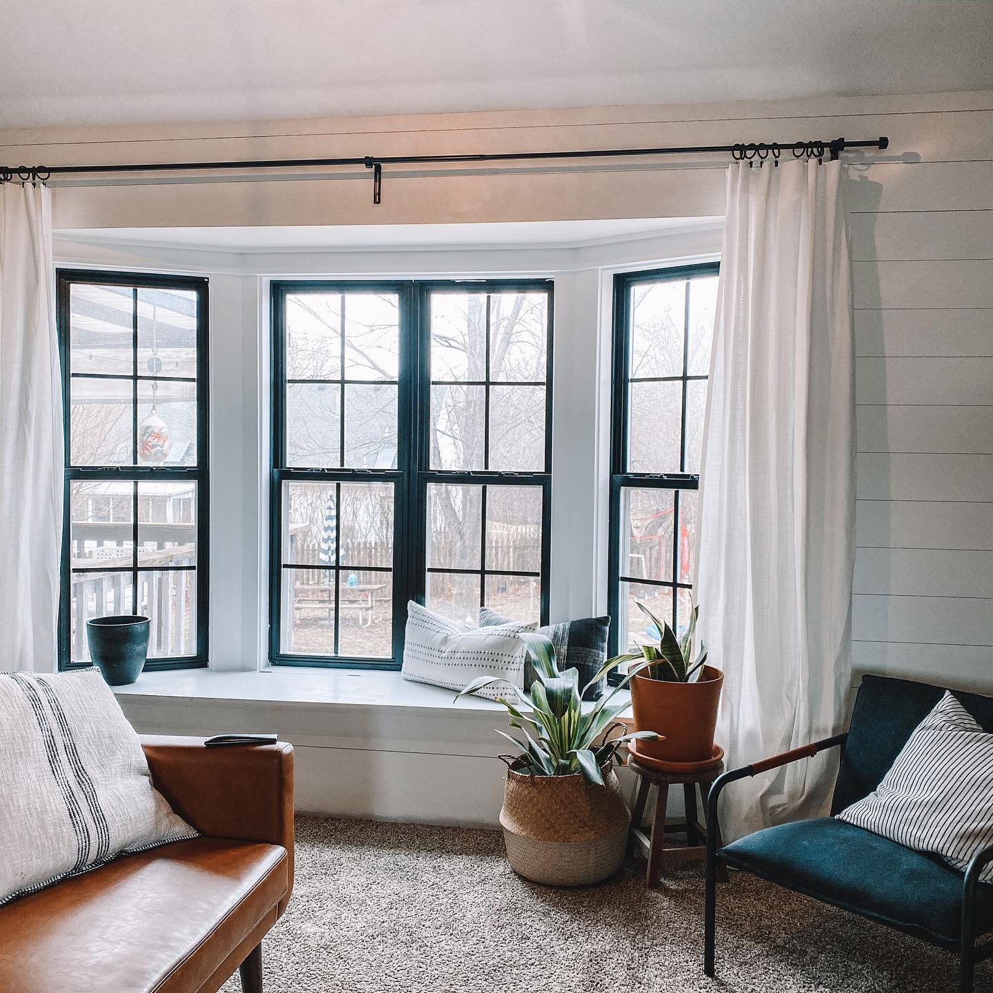 17. the Lush Green Foliage Framed by Crisp White Shutters and a Soft Blue Accent