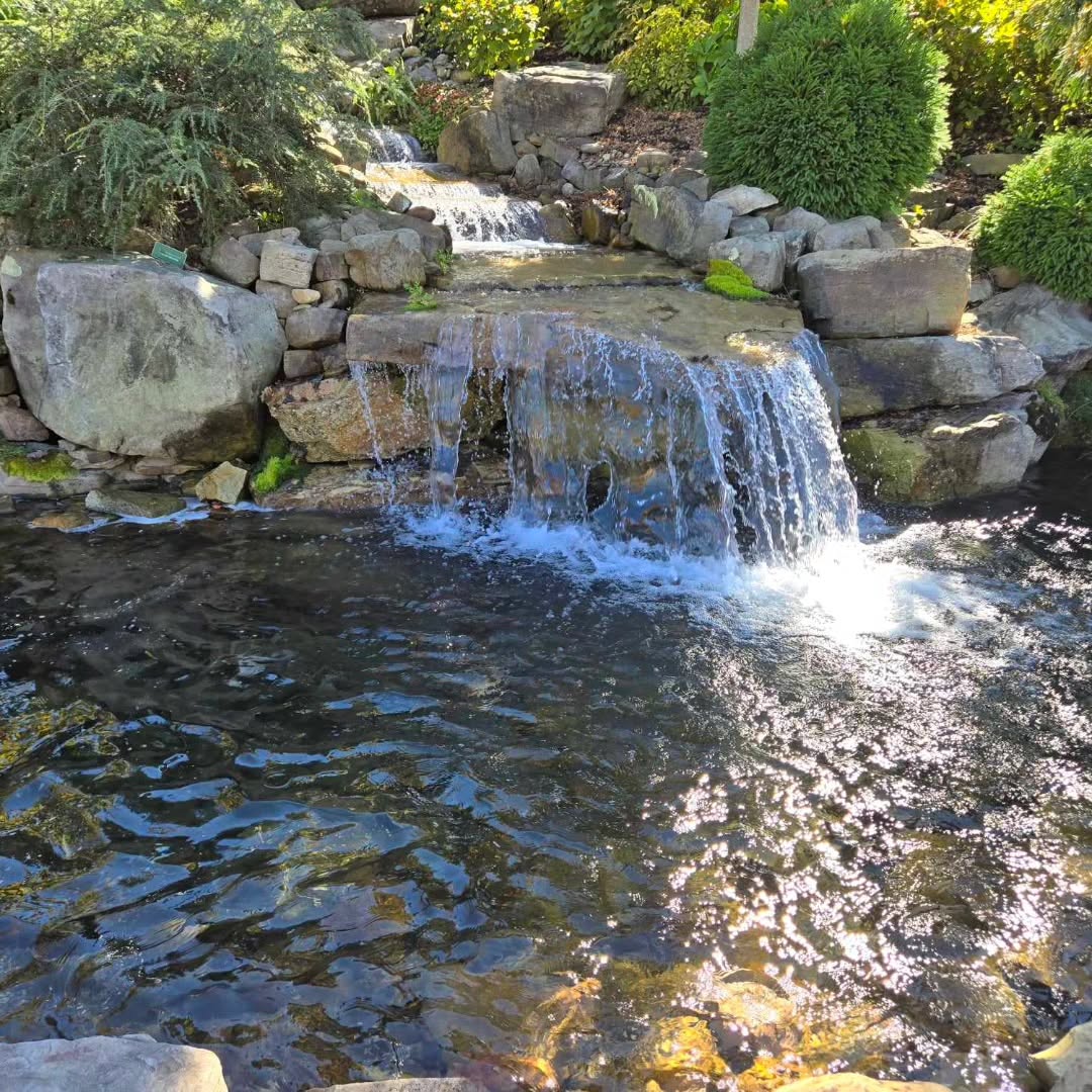2. the Moss-covered Stone Steps Leading to a Tranquil Waterfall Nook