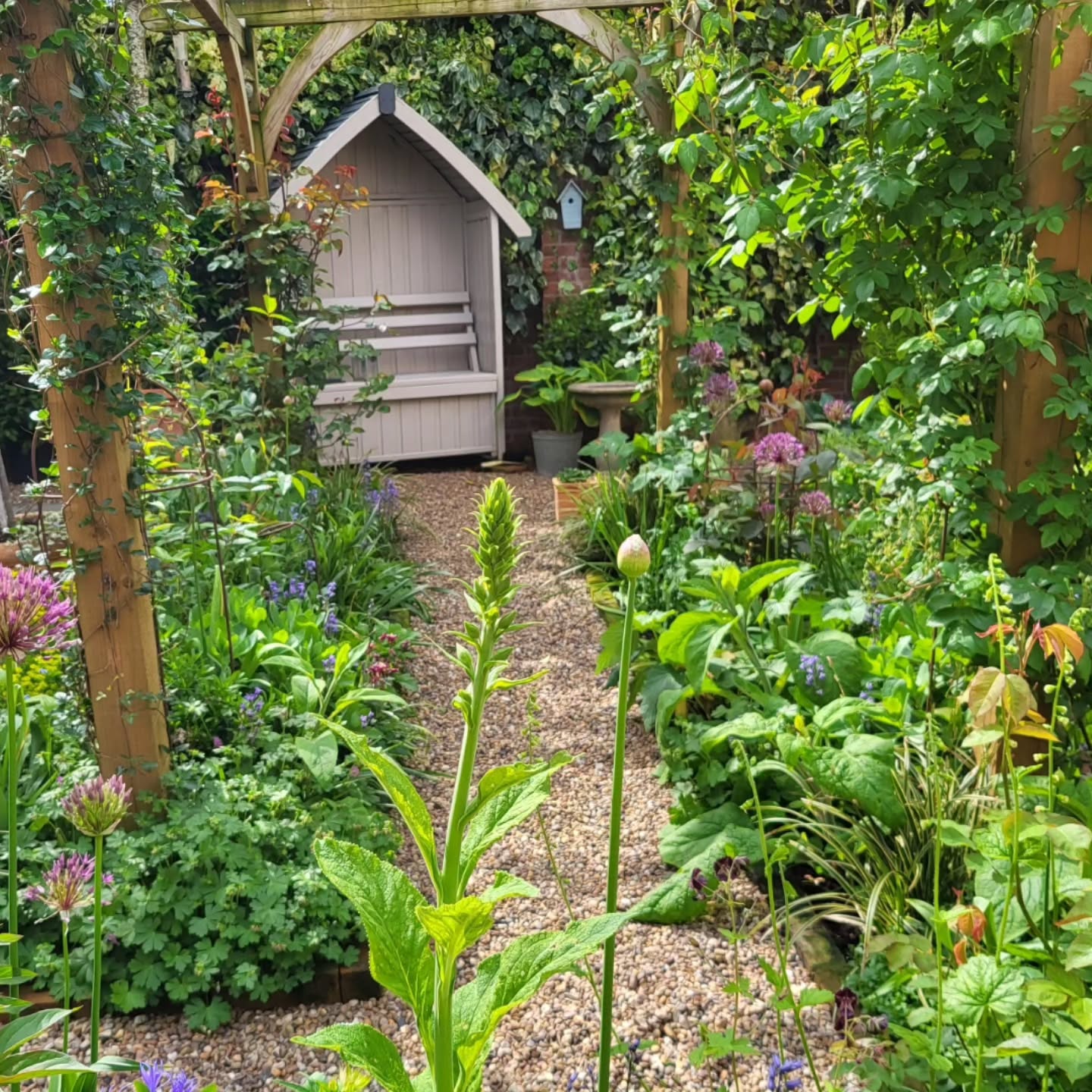 11. a Moss-covered Stone Bench Overlooking a Sea Of Purple Ajuga
