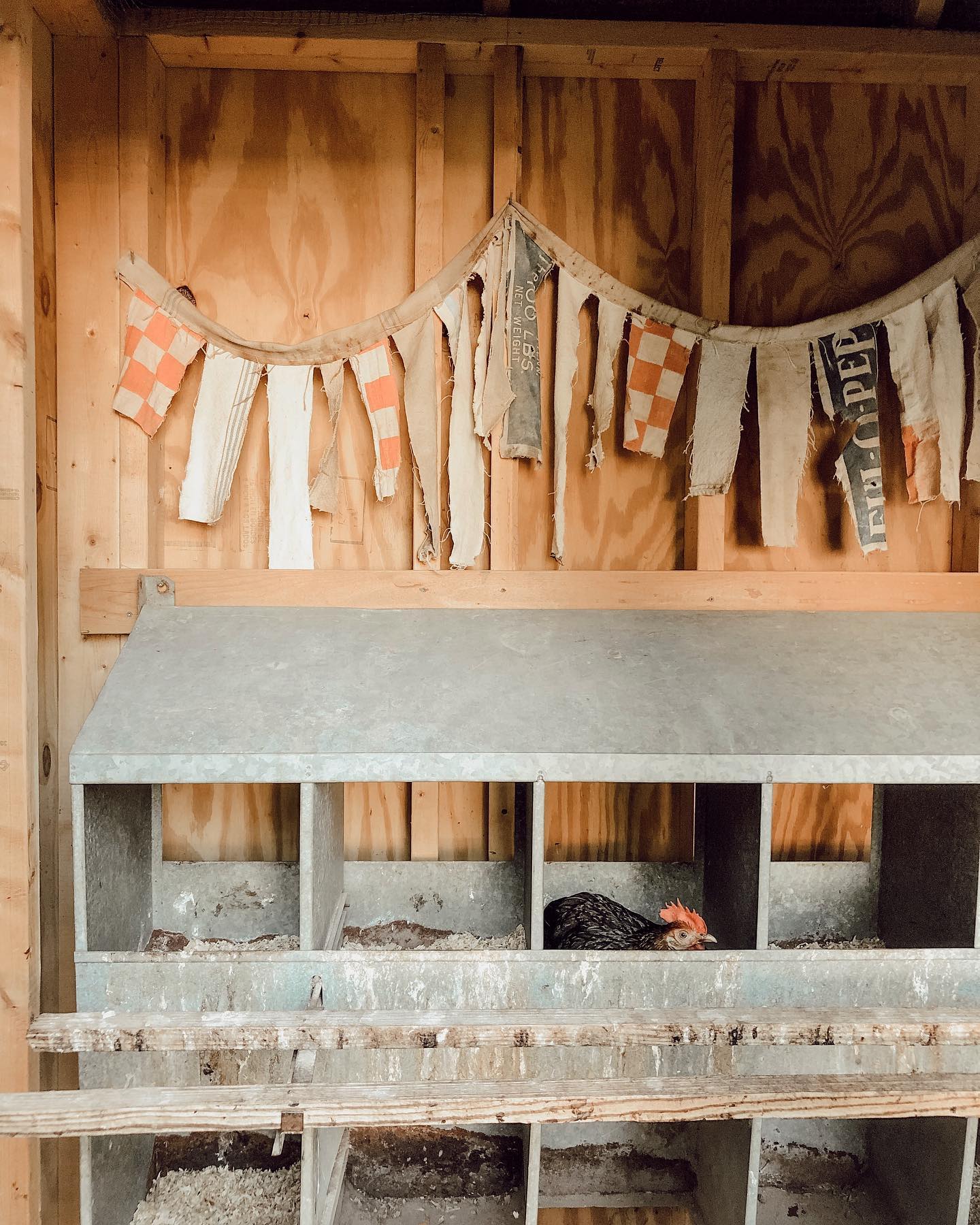 8. the Crimson Canopy: a Rustic Red Retreat with a Ladder to Lofted Dreams