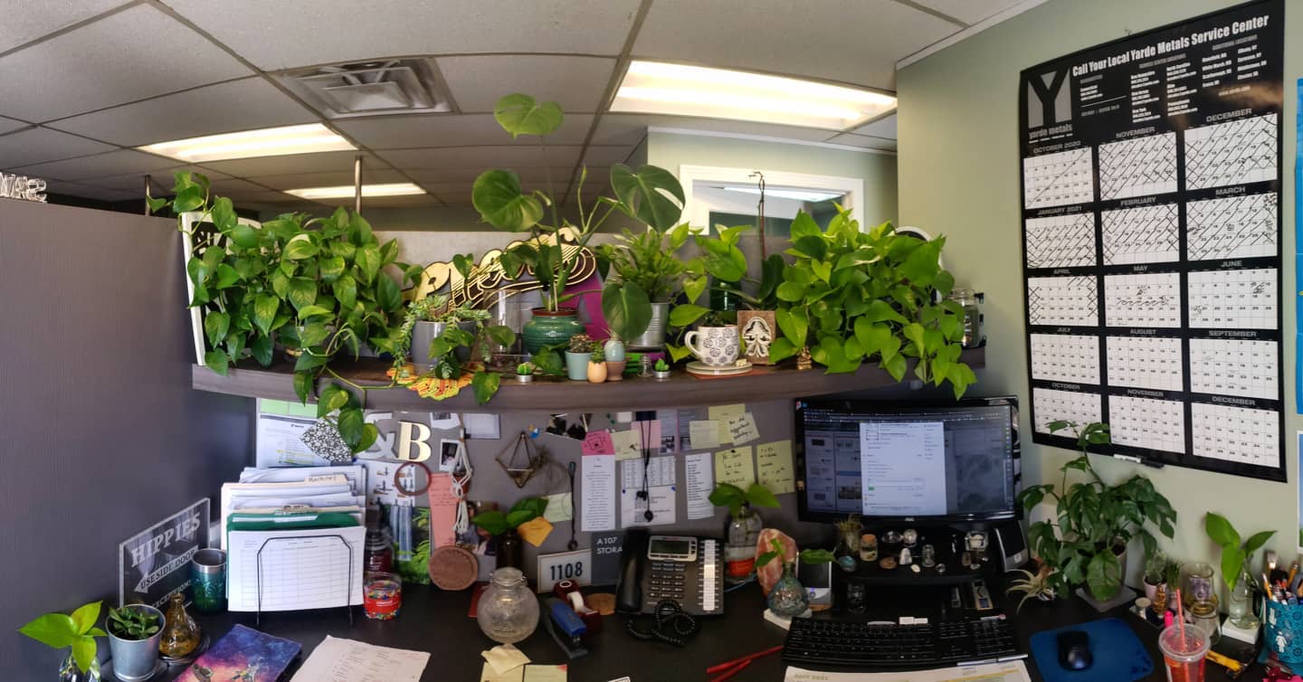 31. Neon Glow Cubicle with Miniature Zen Garden and Levitating Plant