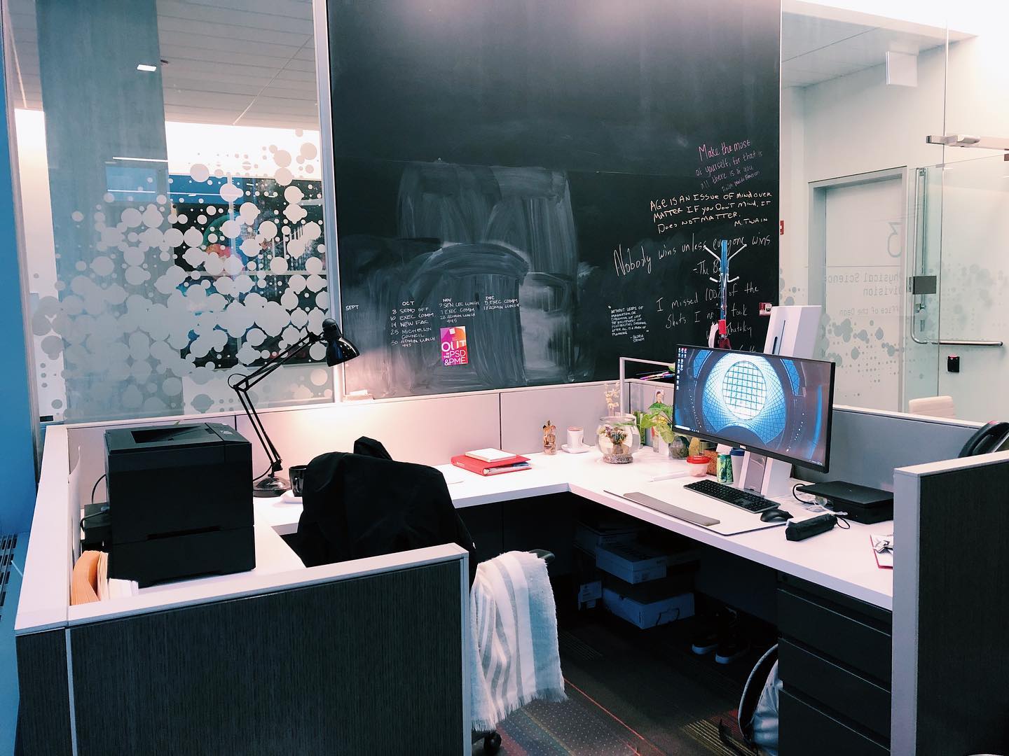 1. Vibrant Fuschia Flamingo Against Monochrome Wall with Geometric Shelves